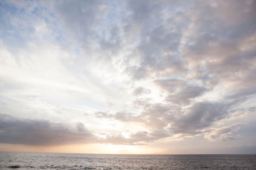 HS_Genentech_Hawaii-004526