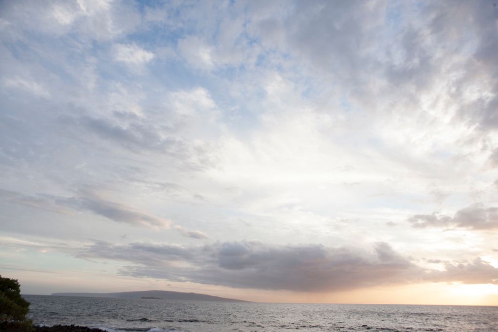 HS_Genentech_Hawaii_004525