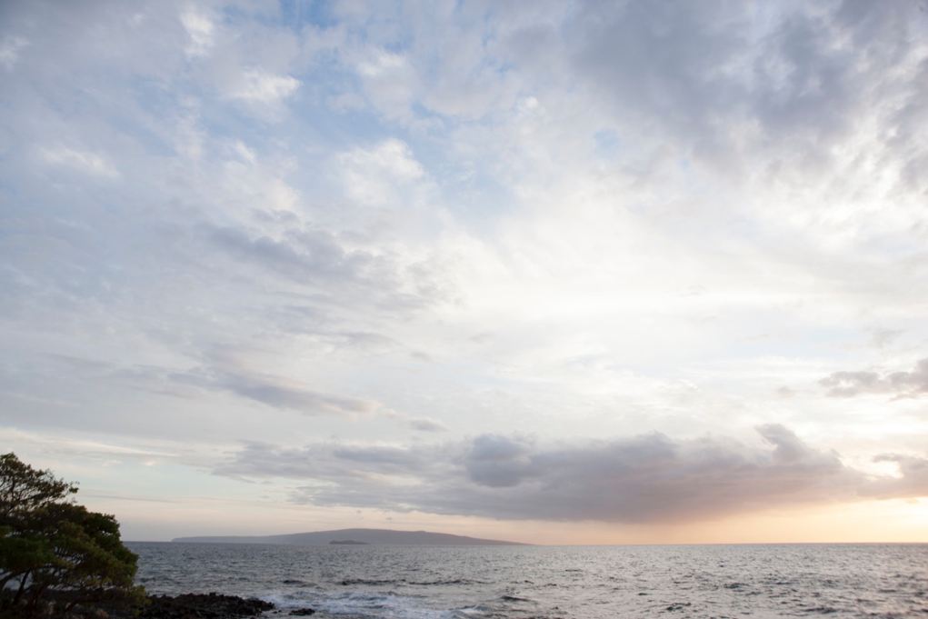 HS_Genentech_Hawaii_004528