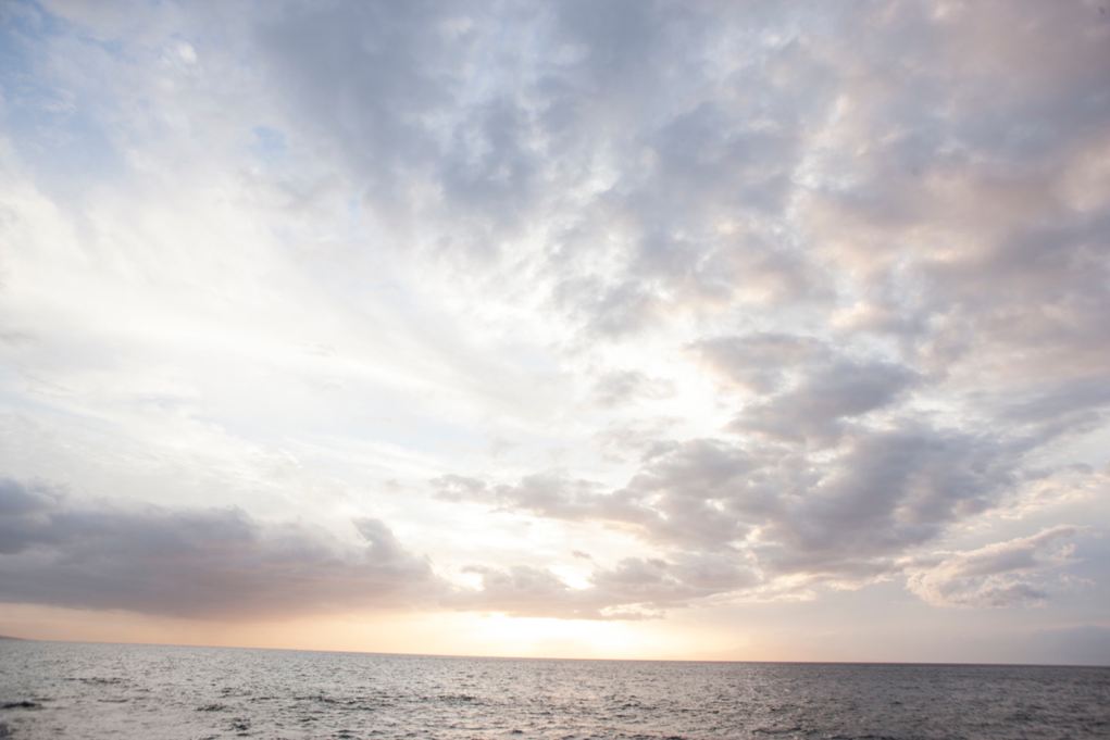 HS_Genentech_Hawaii_004529