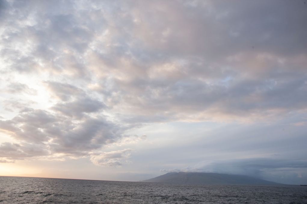 HS_Genentech_Hawaii_004530