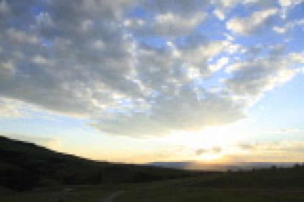 McCann_￼￼￼Selzentry_Montana_Day1_G9A4148