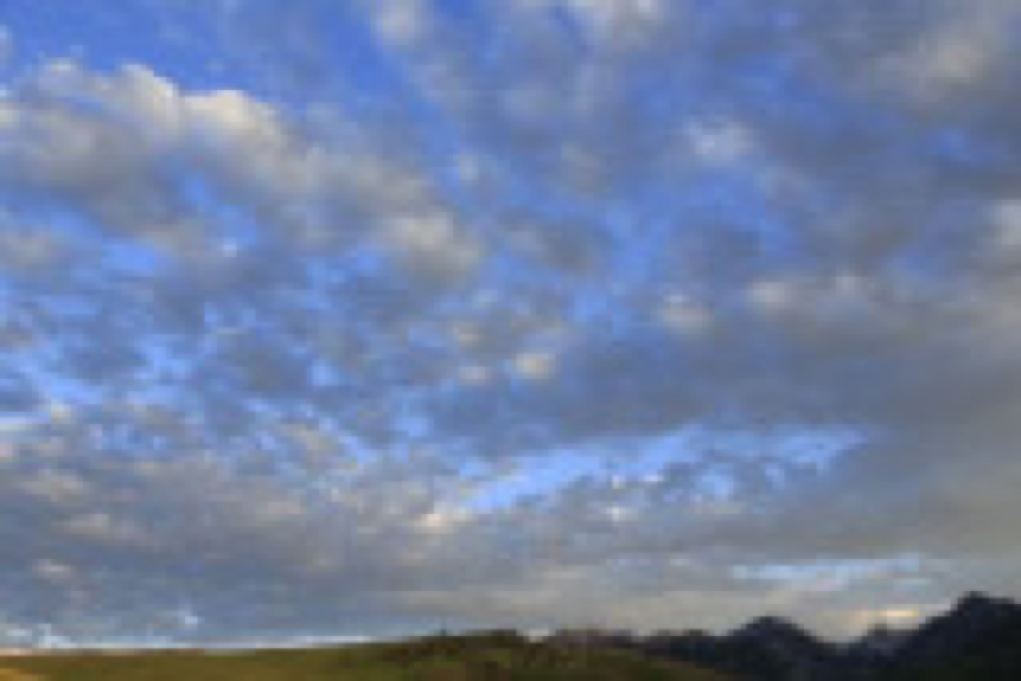 McCann_￼￼￼Selzentry_Montana_Day1_G9A4198