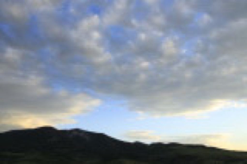 McCann_￼￼￼Selzentry_Montana_Day1_G9A4200