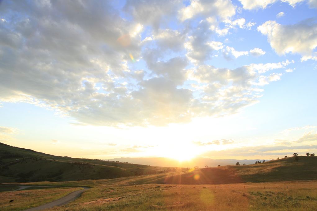 McCann_￼￼￼Selzentry_Montana_Day1_G9A4203