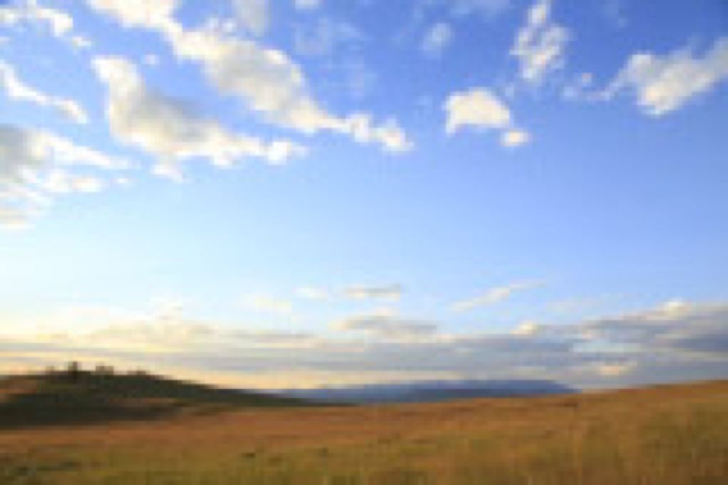 McCann_￼￼￼Selzentry_Montana_Day1_G9A4205