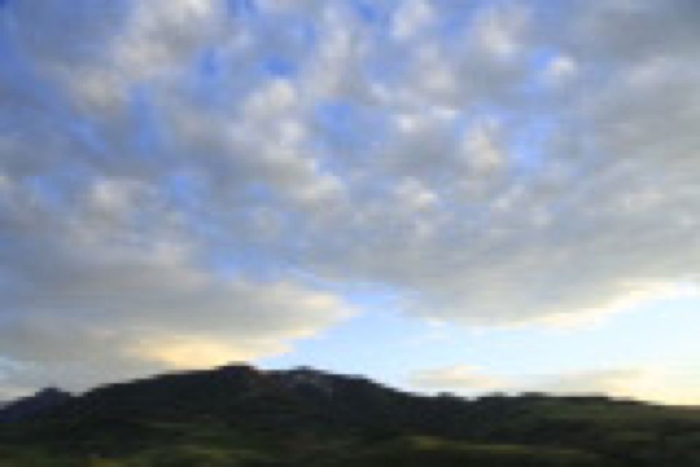 McCann_￼￼￼Selzentry_Montana_Day1_G9A4221