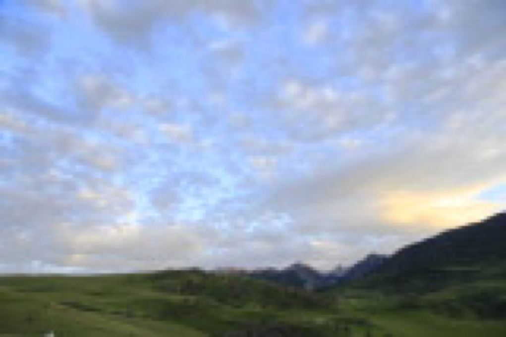 McCann_￼￼￼Selzentry_Montana_Day1_G9A4265