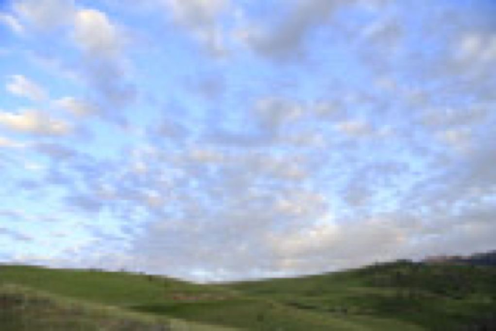 McCann_￼￼￼Selzentry_Montana_Day1_G9A4266