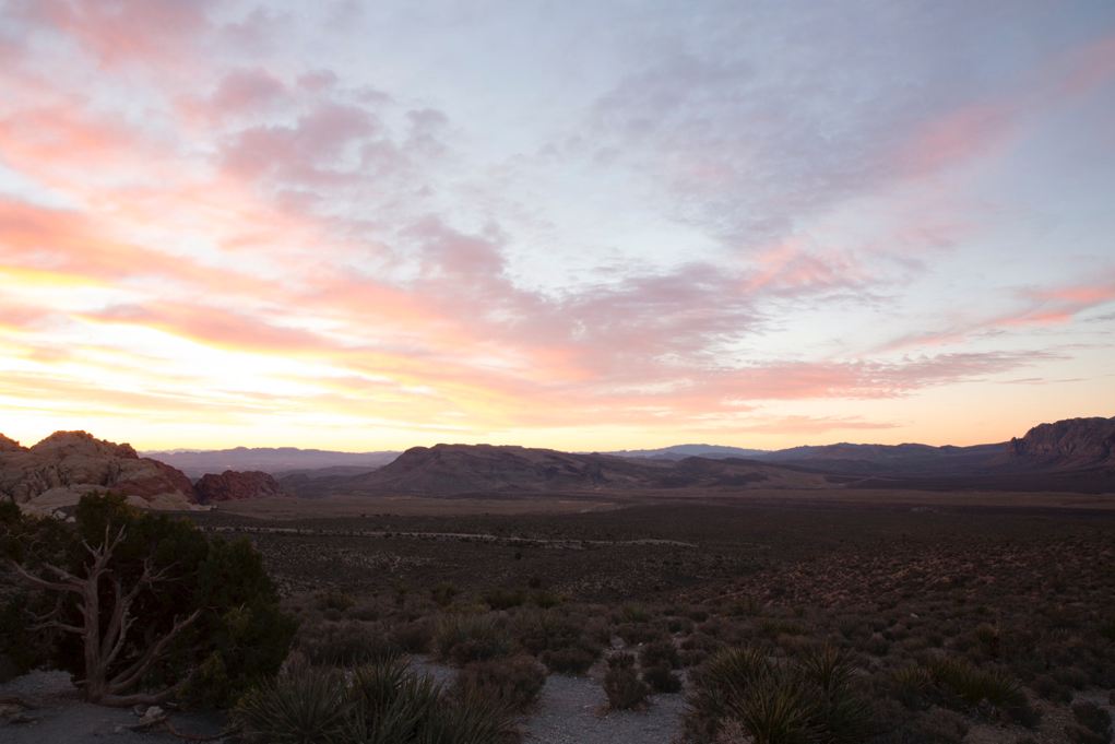 Smarts_JW_Nevada_Day2__A2_4794