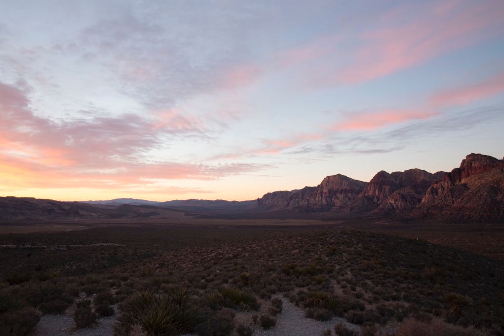 Smarts_JW_Nevada_Day2__A2_4795