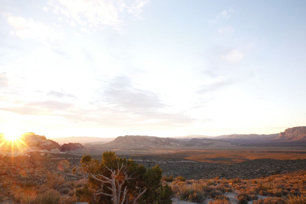 Smarts_JW_Nevada_Day2__A2_4902